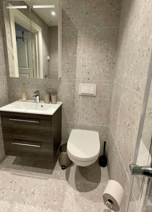 Modern And Cozy Studio Apartment In Central Oslo Esterno foto